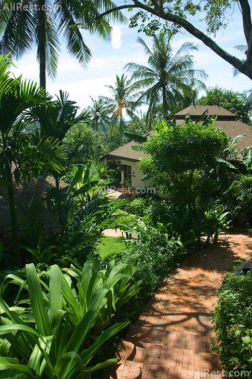 The Mangosteen Resort 11